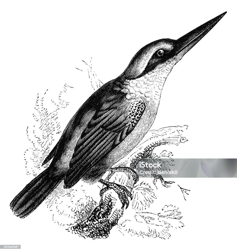 Heilige Kingfisher - Lizenzfrei Bleistiftzeichnung Stock-Illustration