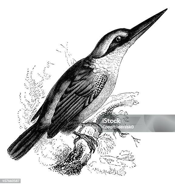 Ilustración de Sagrado Kingfisher y más Vectores Libres de Derechos de Animal - Animal, Clip Art, Dibujo al lápiz