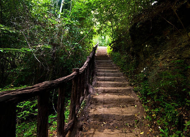 istock Stairway up to the jungle 457689521