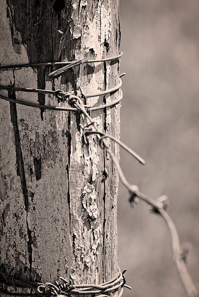 Alten Holzbalken mit barb wire – Foto