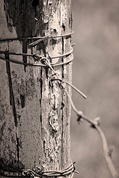 Cтоковое фото Старые деревянные балки с barb проводов