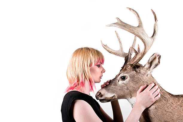 Woman Caressing Buck stock photo