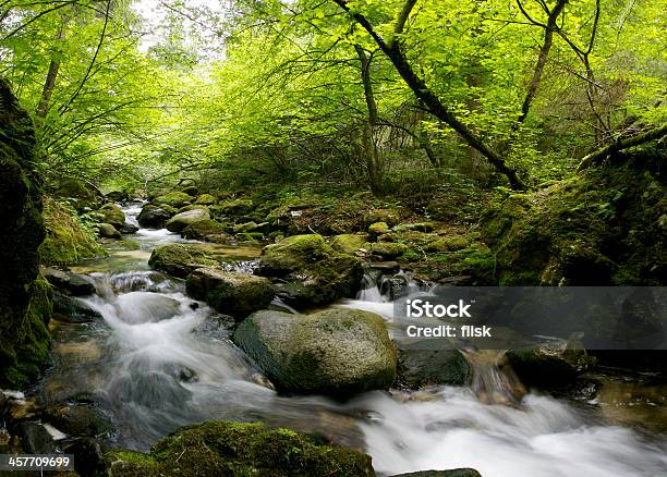 Calma Bosque Río Foto de stock y más banco de imágenes de Agua - Agua, Arte, Arte y artesanía