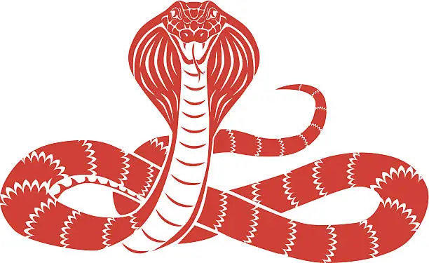 Vector illustration of snake cobra front