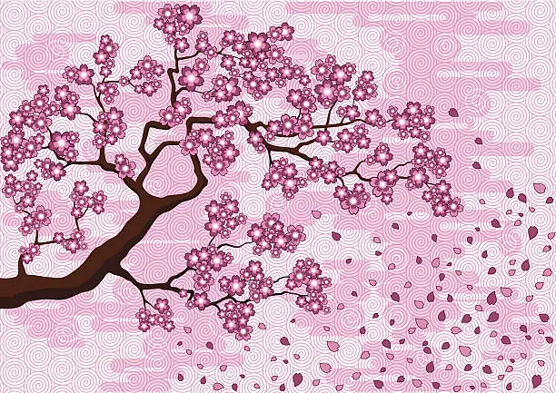 Vector illustration of Branch of Sakura