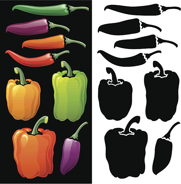 Bell Peppers and Chilli icon set Three Bell Peppers and five Chili Peppers in different colours. red bell pepper stock illustrations