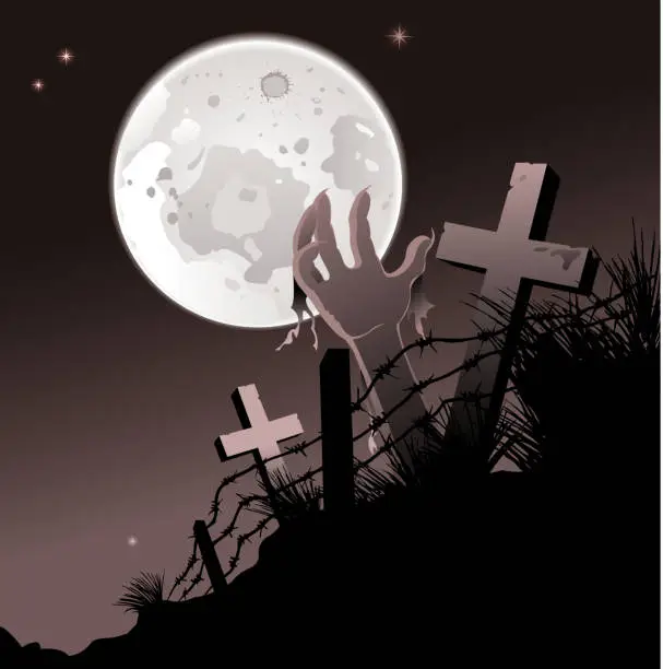 Vector illustration of midnight halloween