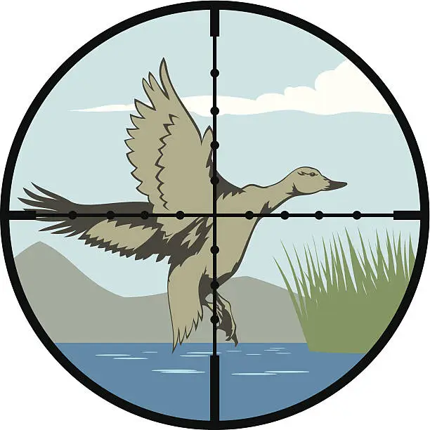 Vector illustration of Duck hunt