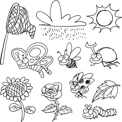Sketch Drawing of different kinds of insects in cartoon style