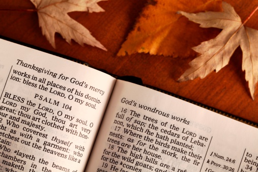 Open Bible and autumn leaves.
