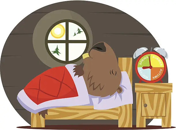 Vector illustration of Marmot sleeping