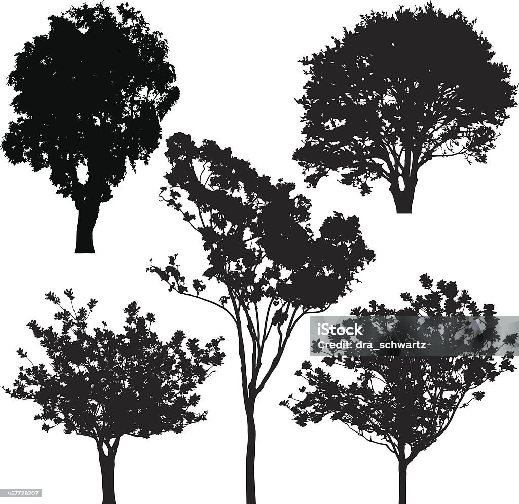 Tree silhouette, Vector In Silhouette stock vector