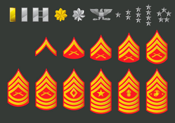 ilustraciones, imágenes clip art, dibujos animados e iconos de stock de us army marine filas - reclutamiento militar