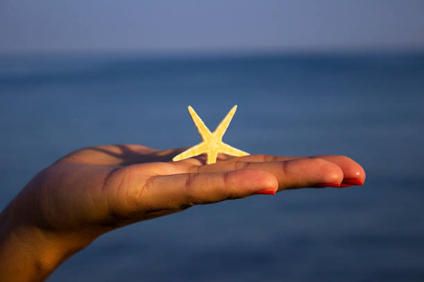 istock Woman's Hand Holding a Starfish with Ocean in the Background 457739997