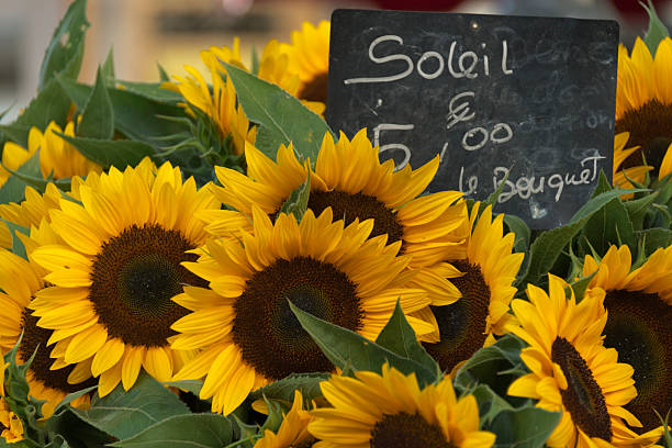 istock sunflowers for sale 457741091