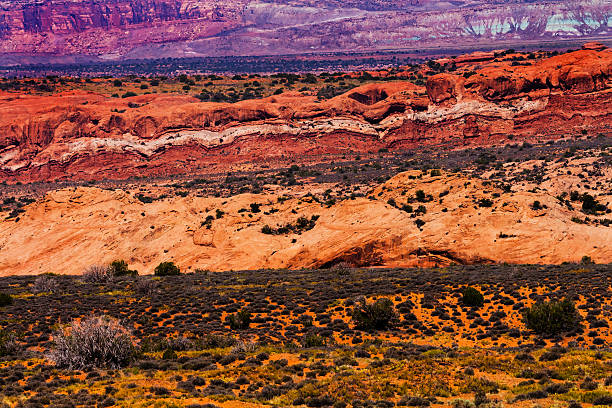 istock Yellow Orange Red Painted Desert Arches National Park Moab Utah 457741487