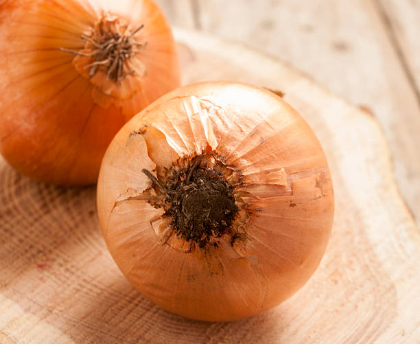 istock onion on wooden background 457742023