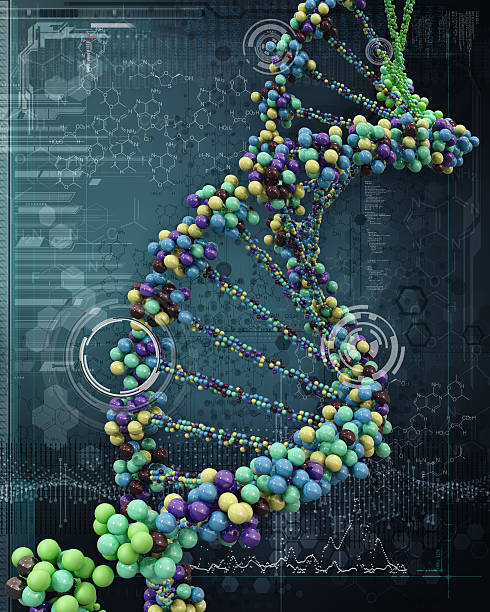 dna 헬릭스 - science life medical research healthcare and medicine 뉴스 사진 이미지