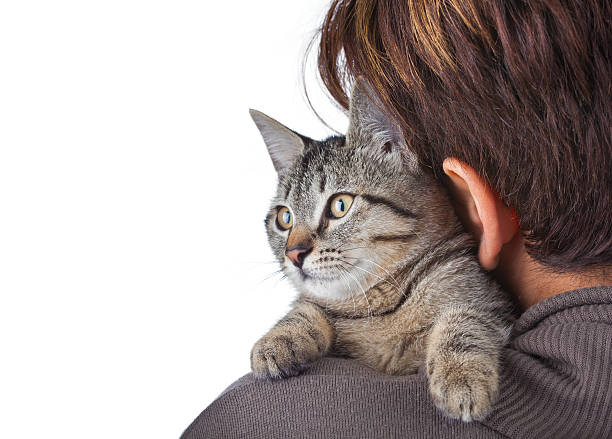 istock Cat and woman on a white background 457756351