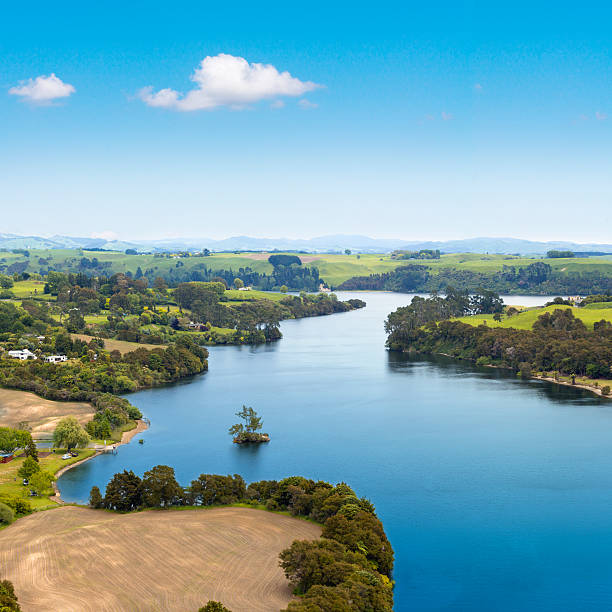 Summer picturesque landscape Waikato river picturesque landscape, New Zealand waikato river stock pictures, royalty-free photos & images