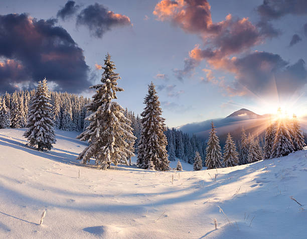 istock Beautiful winter sunrise with snow covered trees. 457757289