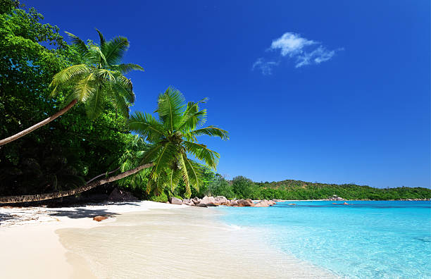 istock Anse Lazio beach at Praslin island, Seychelles 457758377
