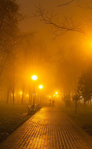 istock Foggy evening in the city park. 457758815