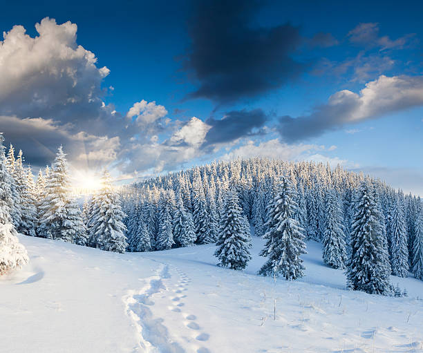 istock Beautiful winter landscape in the mountains 457758841