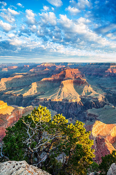 istock Grand Canyon with morning light 457760147