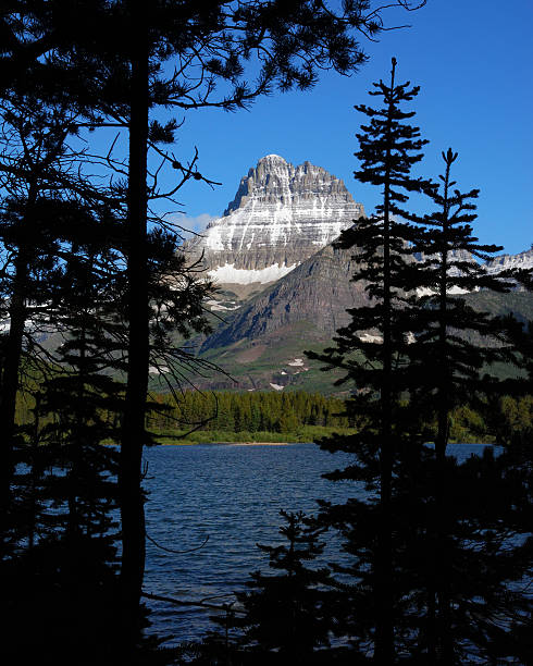 Glacier in shadow stock photo