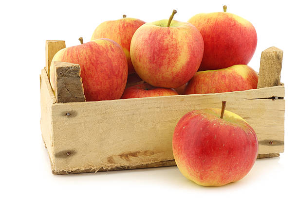istock New Dutch apple variety called 