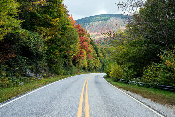 istock Bend in the autumn road 457772163