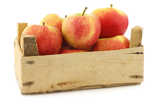 istock New Dutch apple variety called Dalinco in a wooden crate 457772287