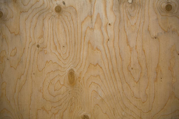 istock Nature Wood XXL 457799825