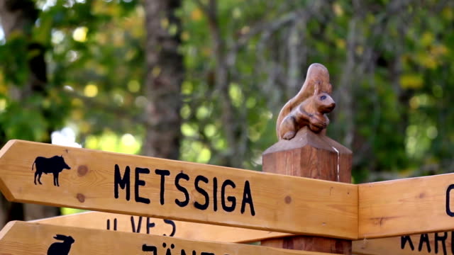 Wooden sign post where there is directions