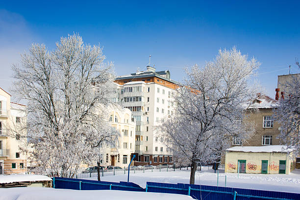 Winter city with trees covered in snow.