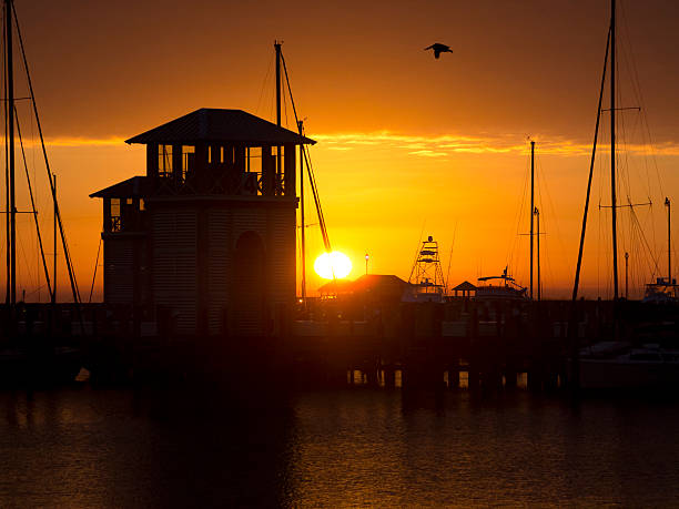 Amanecer en Gulfport Harbor con Flying Pelican - foto de stock