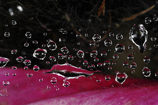 raindrops - regenwetter ストックフォトと画像