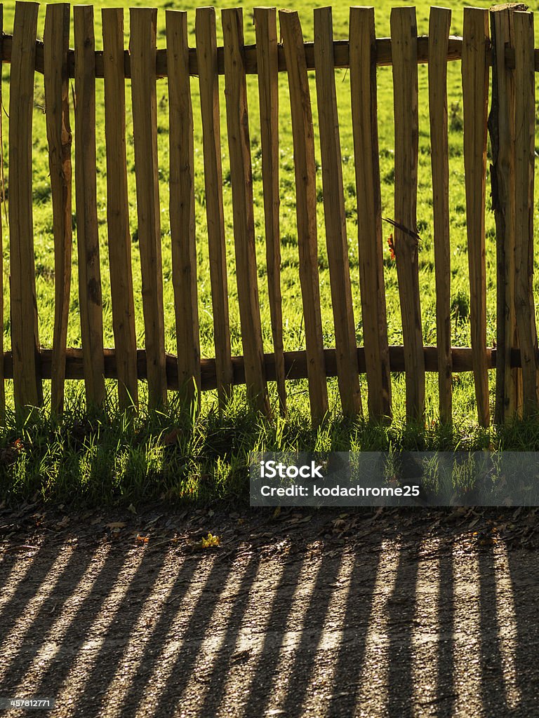 campo - Foto de stock de Agricultura libre de derechos