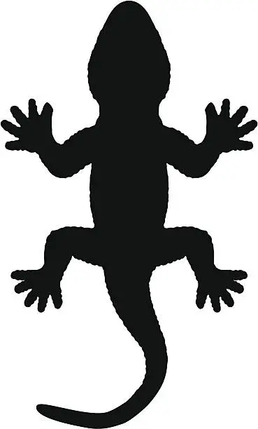Vector illustration of Lizard