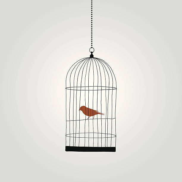 einsam red bird in birdcage. vektor-illustration - vogelkäfig stock-grafiken, -clipart, -cartoons und -symbole