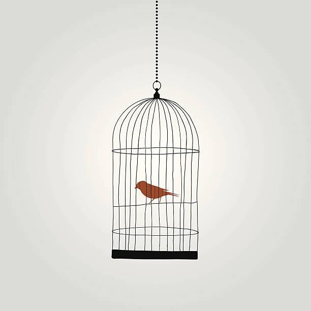 lonely red bird in birdcage. vector illustration lonely red bird in birdcage. vector illustration bird cage stock illustrations