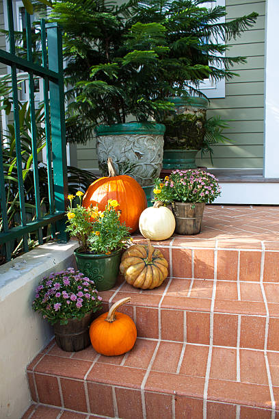 istock Pumpkins on the porch 457820455