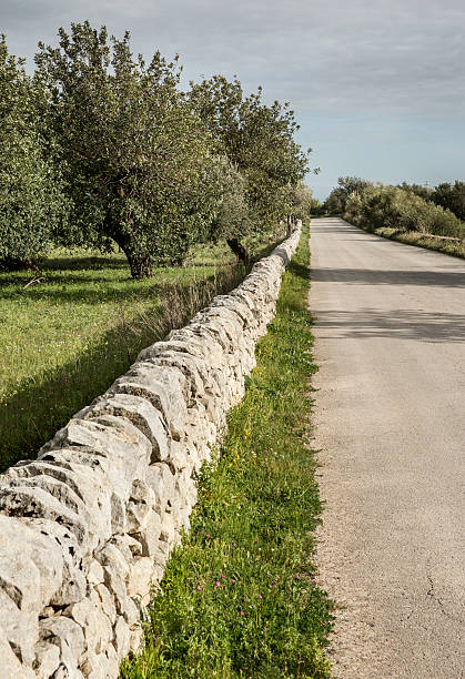 istock Old Country Road in Sicily 457825841