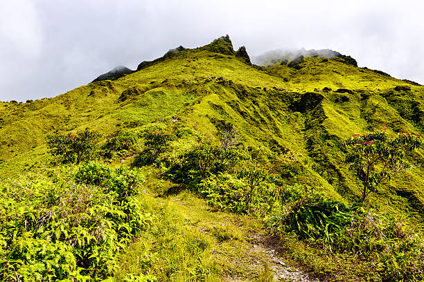 istock The hike up Mount Pelee, Martinique 457825895