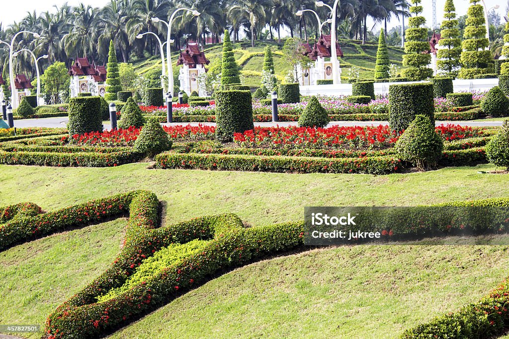 Прекрасные цветы в тропический сад, Таиланд - Стоковые фото Бетон роялти-фри