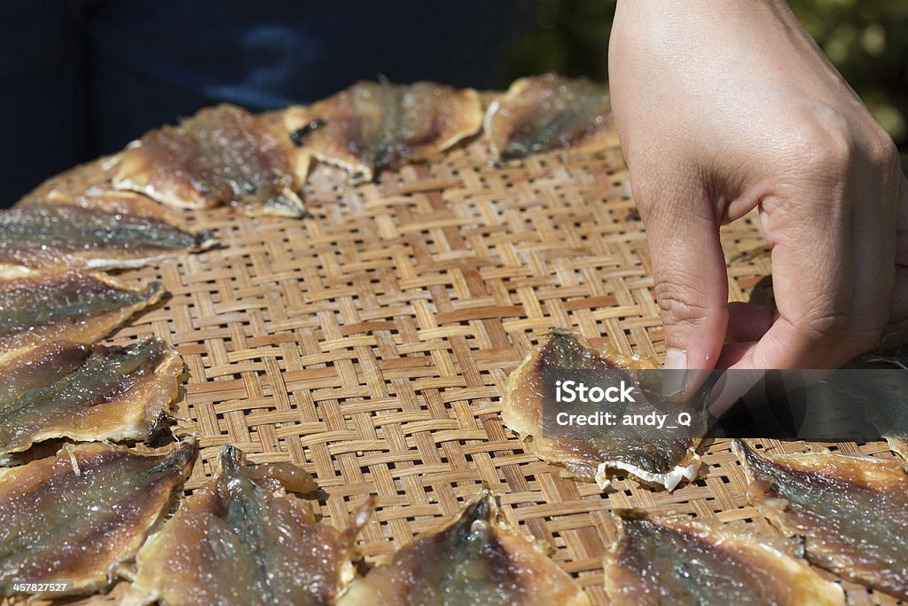 Close up Drying fish Tuna fish drying by sunlight.    Adult Stock Photo