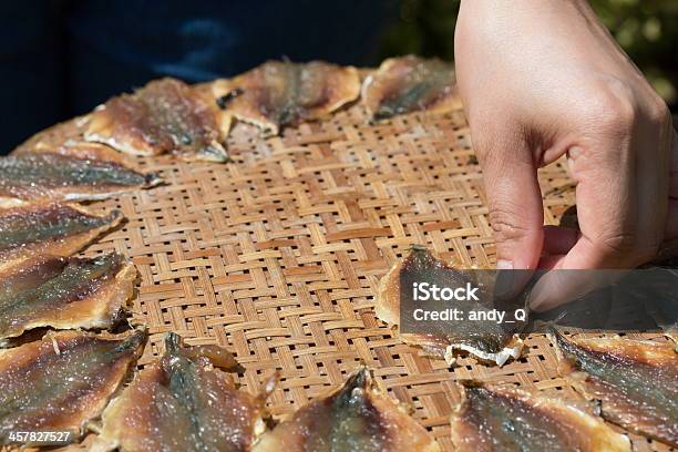 Close Up Drying Fish Stock Photo - Download Image Now - Adult, Animal, Cultures