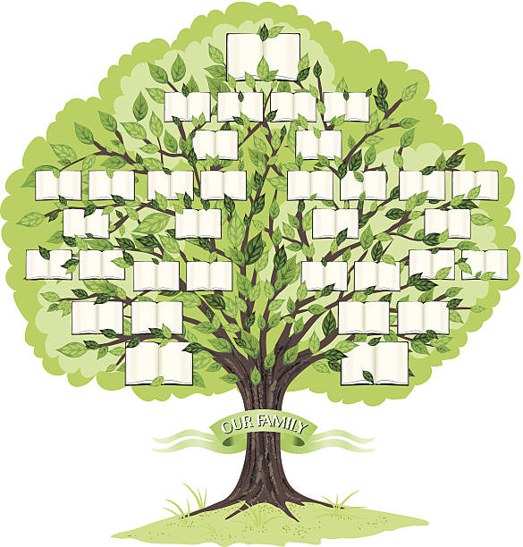 ilustraciones, imágenes clip art, dibujos animados e iconos de stock de plantilla de árbol familiar - árboles genealógicos