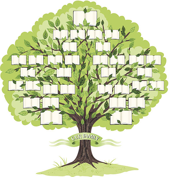 illustrazioni stock, clip art, cartoni animati e icone di tendenza di albero genealogico modello - albero genealogico